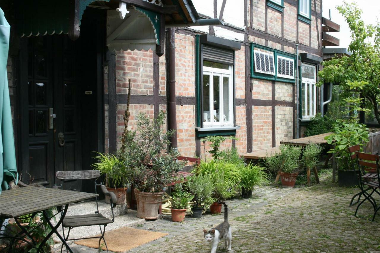Apartments Cafe Brennnessel Veltheim ภายนอก รูปภาพ